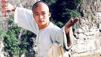 电影太极宗师在线观看,传奇宗师，武道巅峰