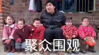 吃瓜表情包片段大全,趣味横生的网络文化盛宴