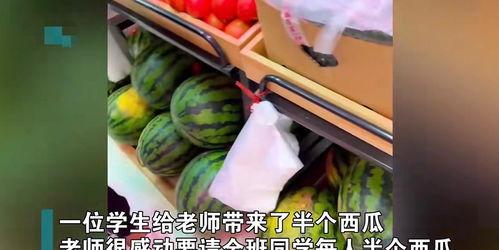 富老师吃瓜花小龙,富老师与瓜花小龙的趣味互动