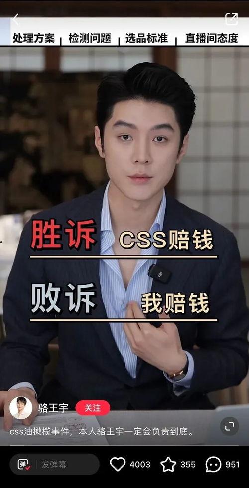 网红骆王宇,网红界的创新者与影响力传播者