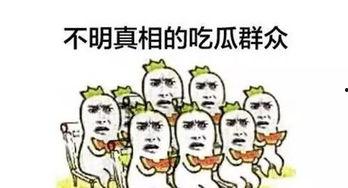 吃瓜群众冰激凌,吃瓜群众的热议焦点