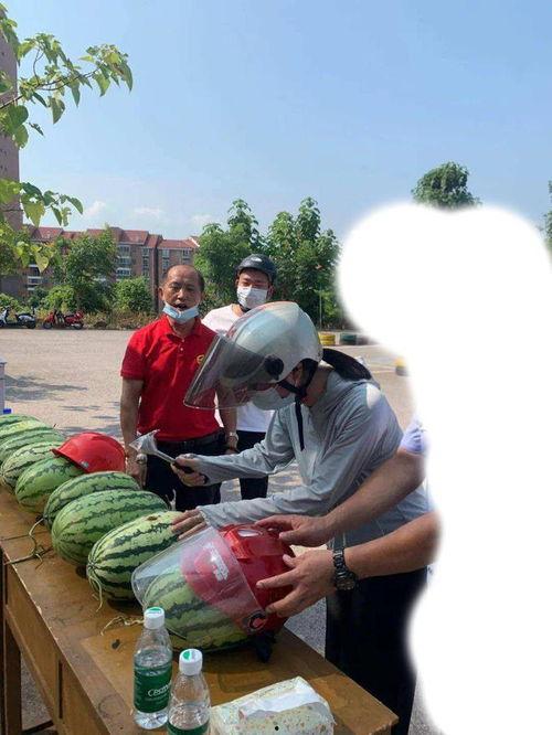 界首吃瓜最新事件新闻,揭秘网络热议背后的真相