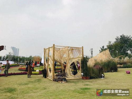 成都桂溪公园新闻头条,打造城市绿肺新地标