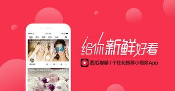 同步到西瓜视频和头条,精彩内容一网打尽