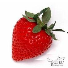 外国明星草莓,外国明星的甜蜜魅力与时尚传奇