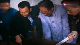 国外明星打车节目,揭秘国外打车文化的真实一面