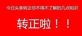 头条号改视频内容,揭秘背后故事与热点话题