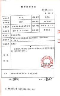 芋头条的出厂报告,品质与创新的完美结合