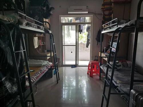 318宿舍在线观看,青春记忆里的温馨时光