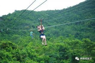 山东网红轨道滑索,空中穿梭，体验极限快感