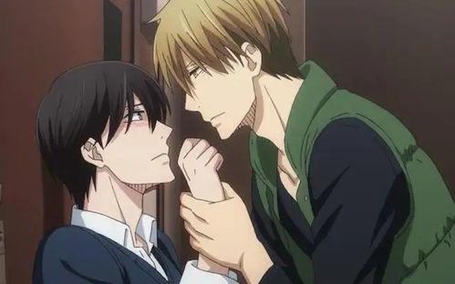 bl动漫在线观看,在线观看，畅享激情瞬间