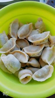 冷冻水饺爆料怎么做的视频,跟随视频轻松学会家常美味