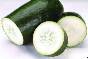 吃瓜喝开水,品味生活，喝开水谈天